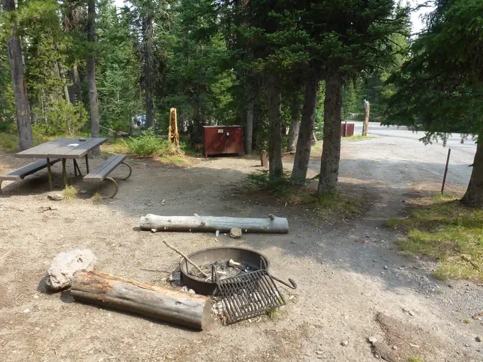 Lewis Lake site #37