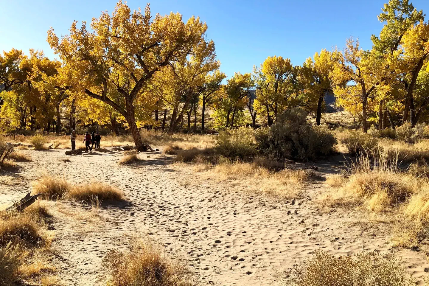 Ruby Horsethief Canyon Permits