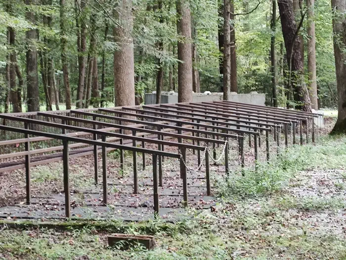 Big Creek Horse Camp