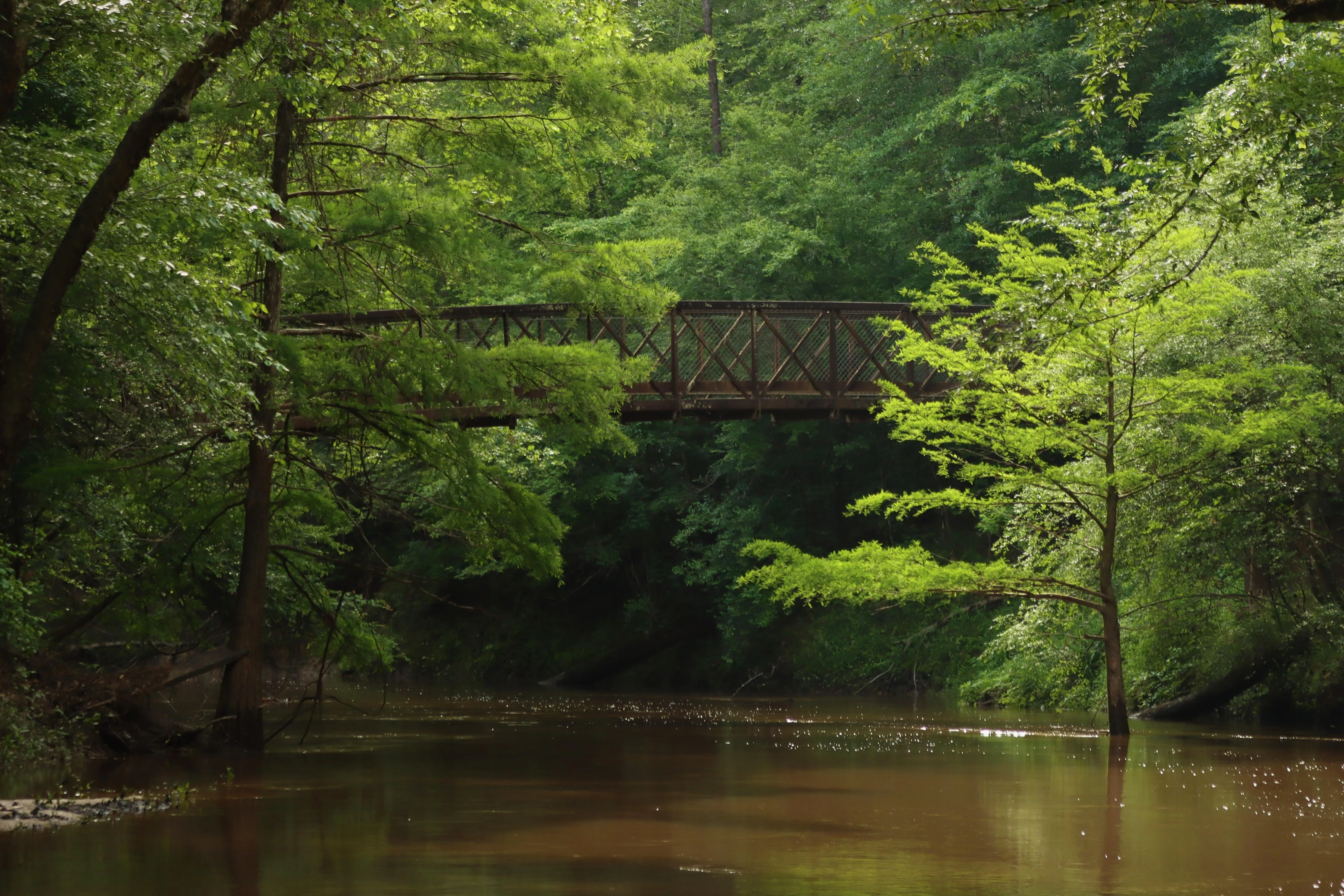 Big Thicket National Preserve