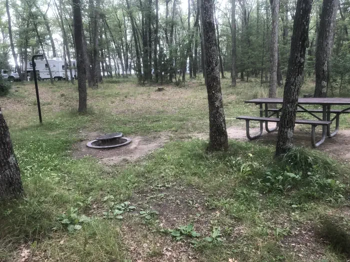 31