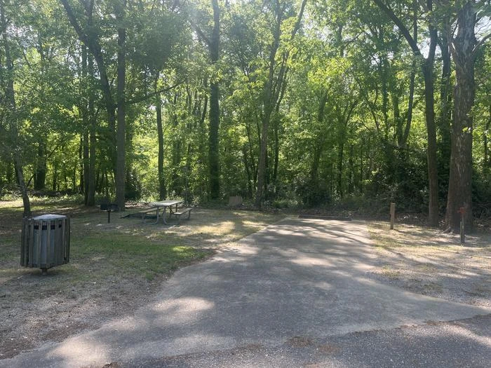 Site 49