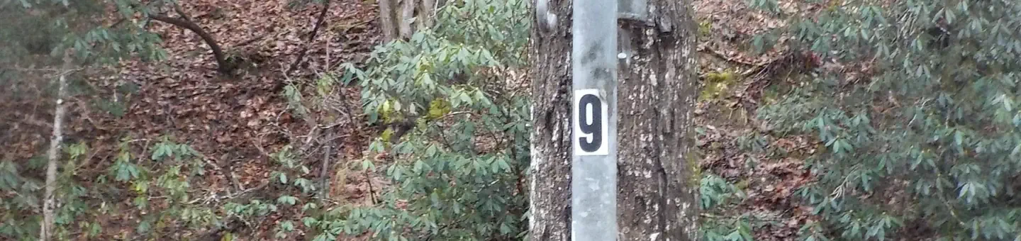 009