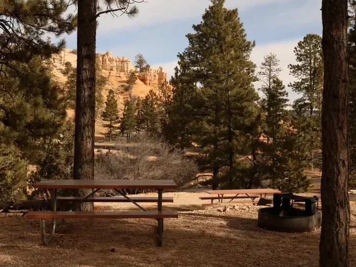 North Campground (UT)
