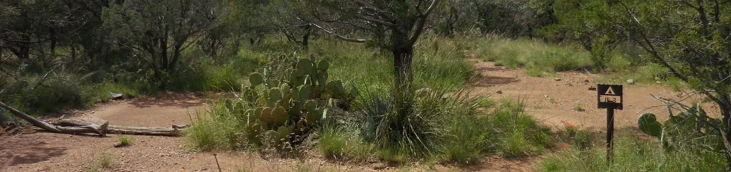 Juniper Flat 3