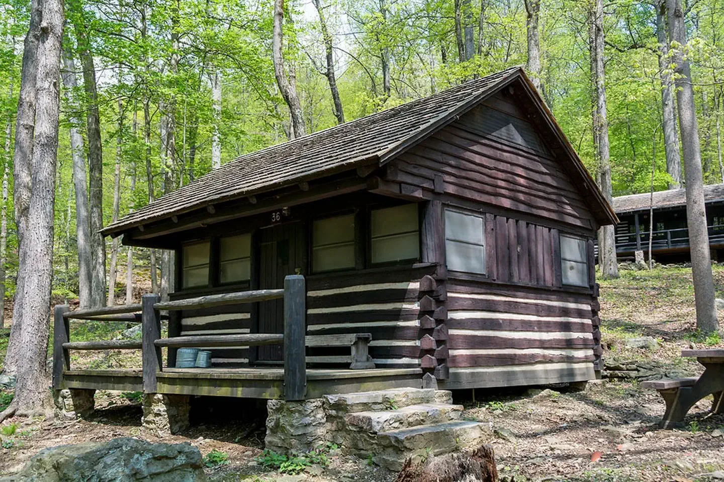 Cabin 36