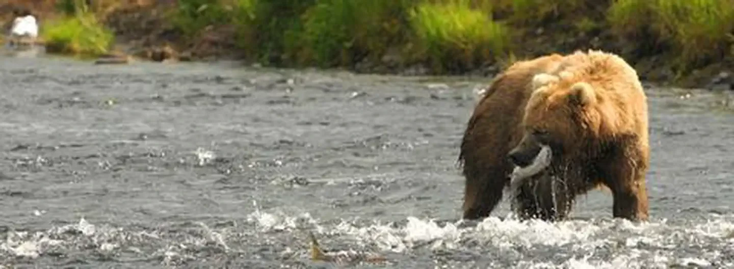 Kodiak National Wildlife Refuge