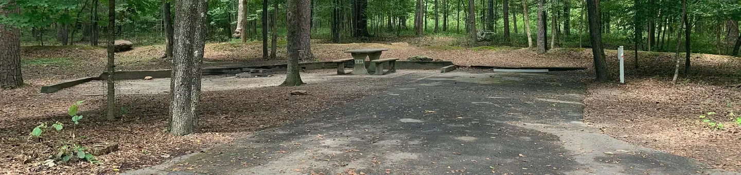 D20