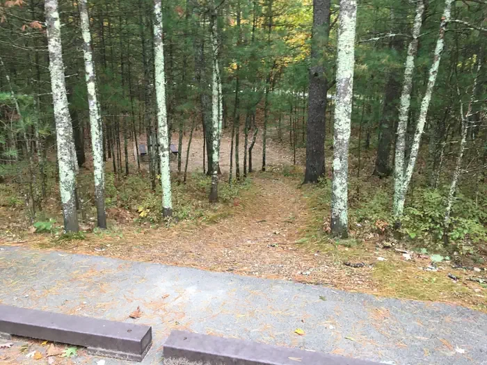 425