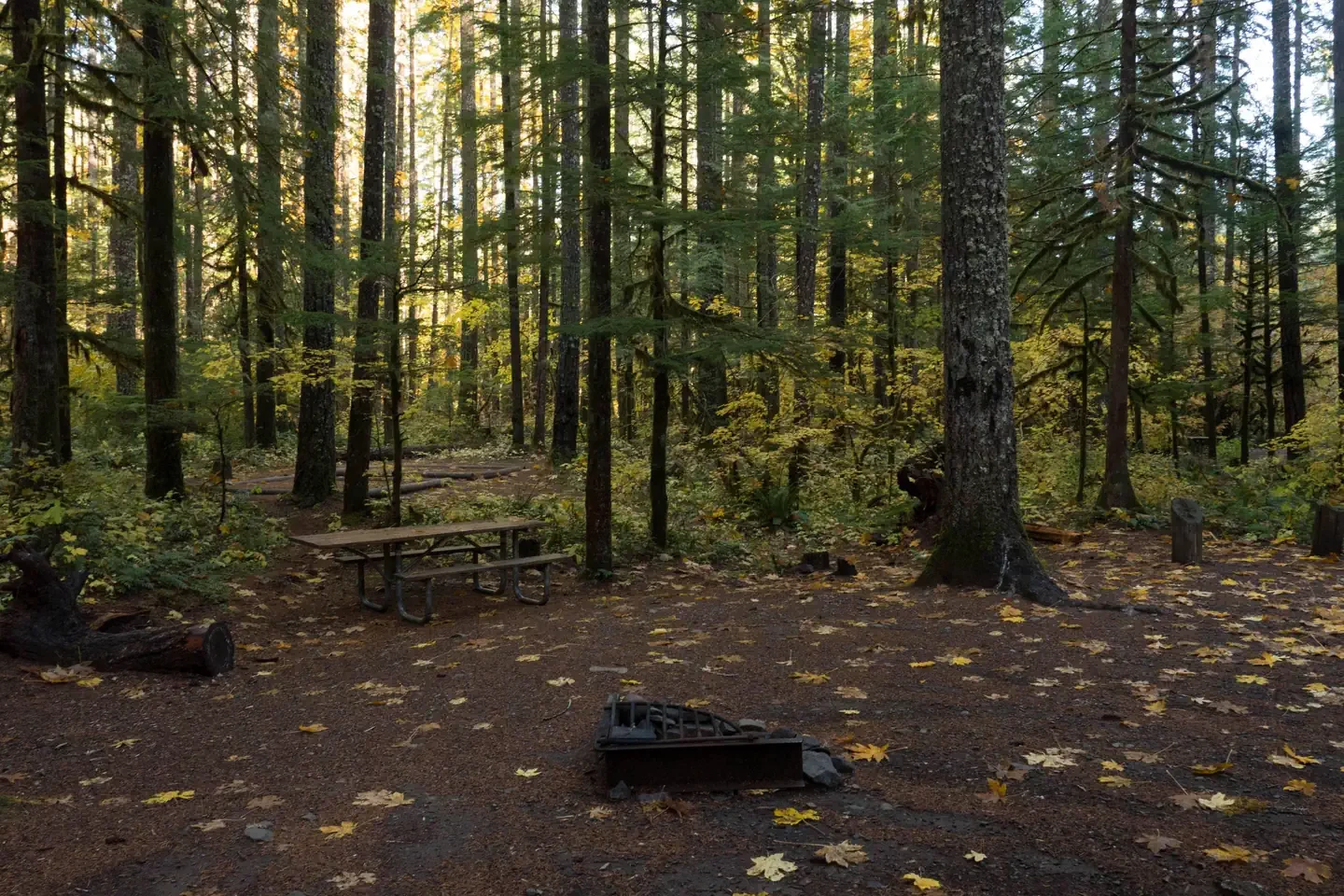 Panther Creek campground