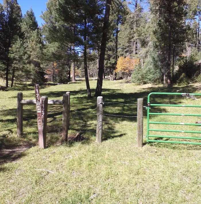 Lower Fir Group Area