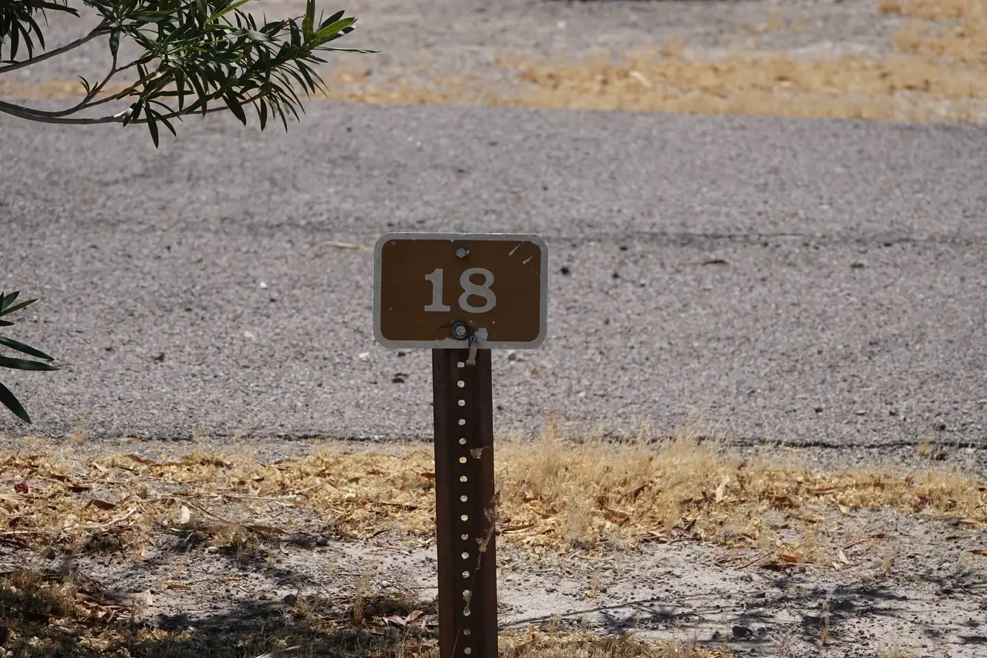 Site 18