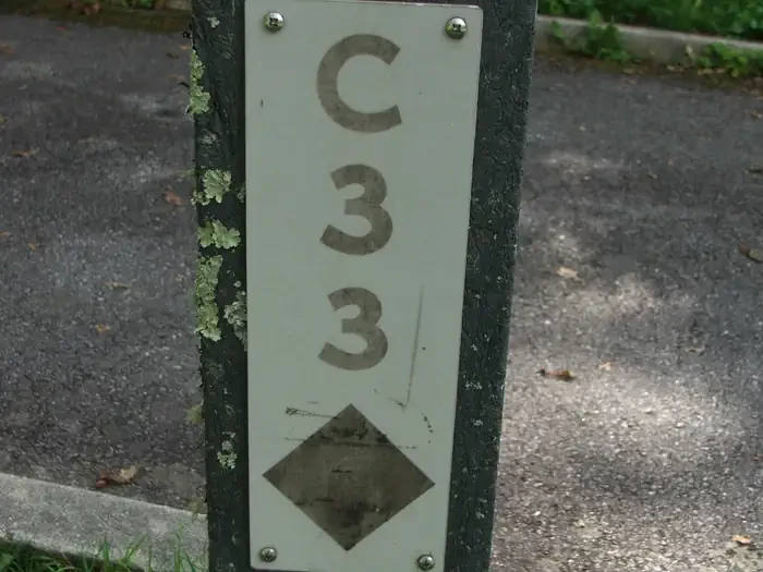 C33