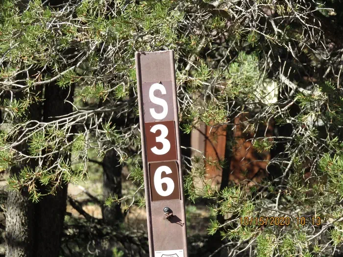 36