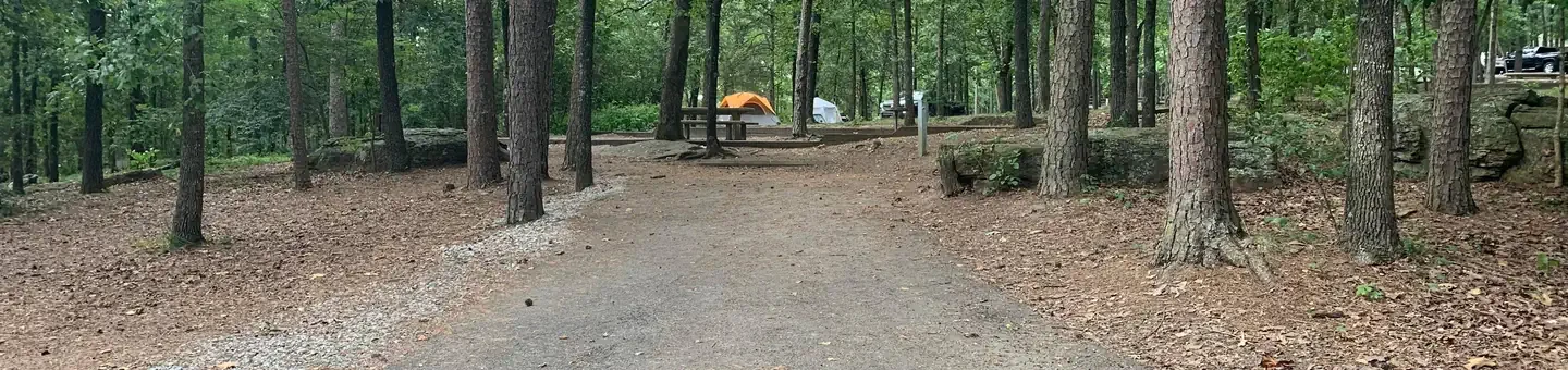 F11