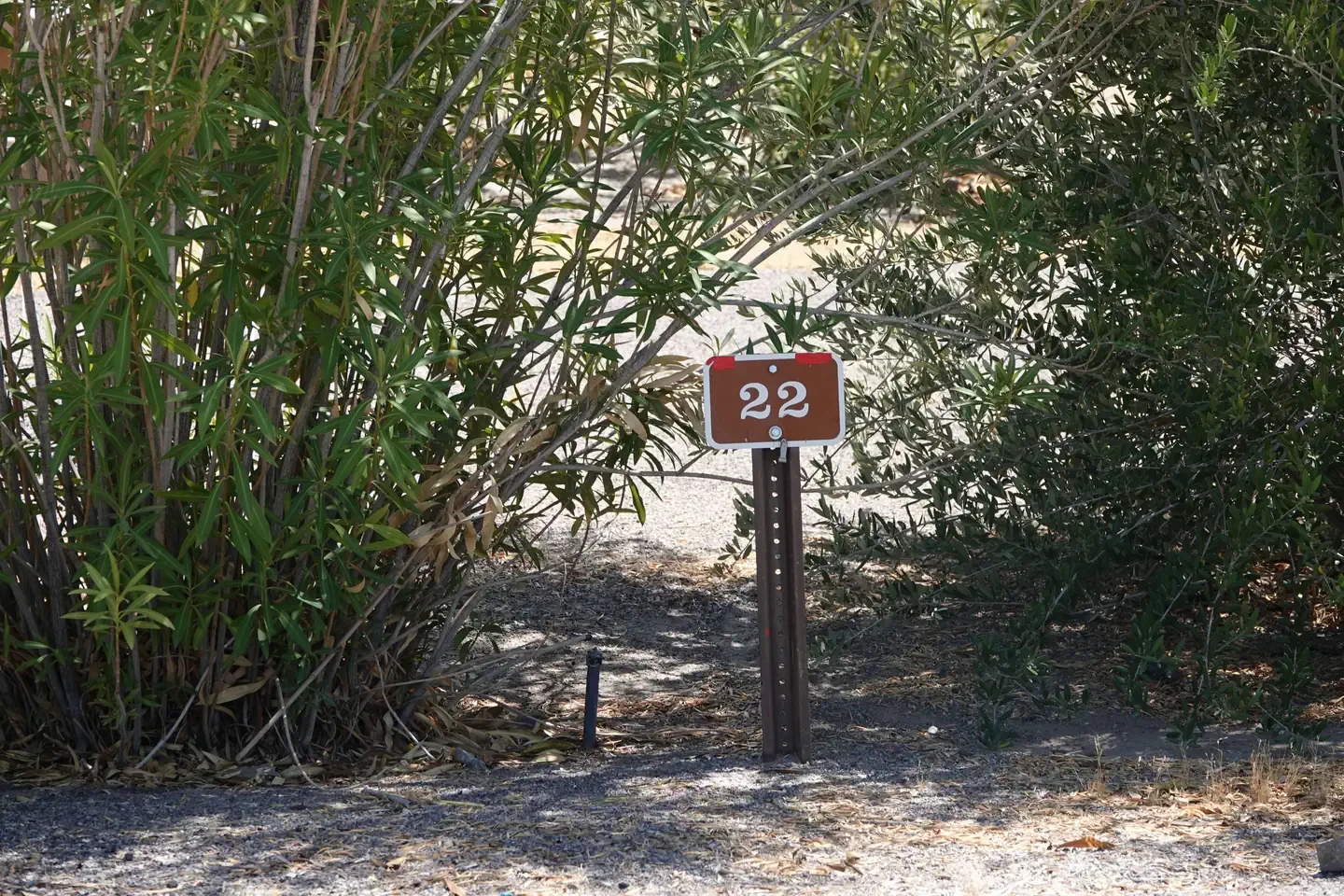 Site 22