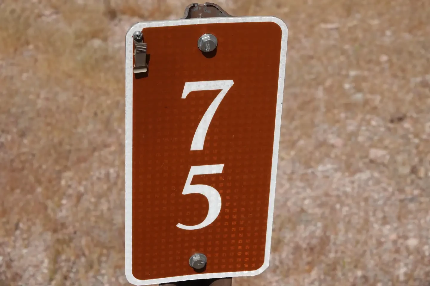 Site 75