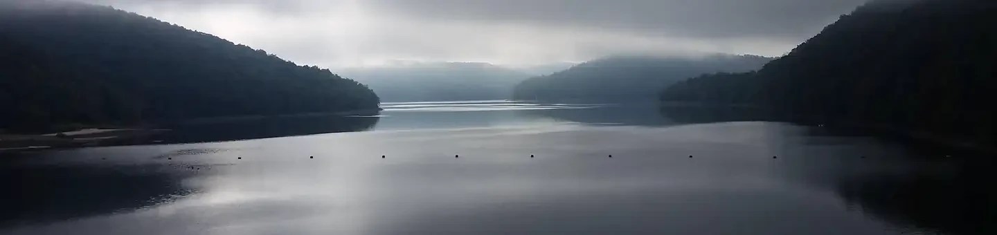017