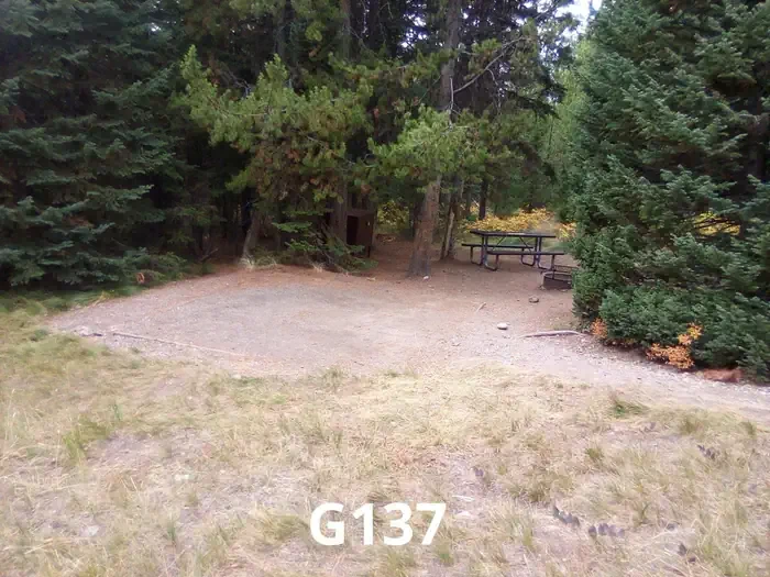137