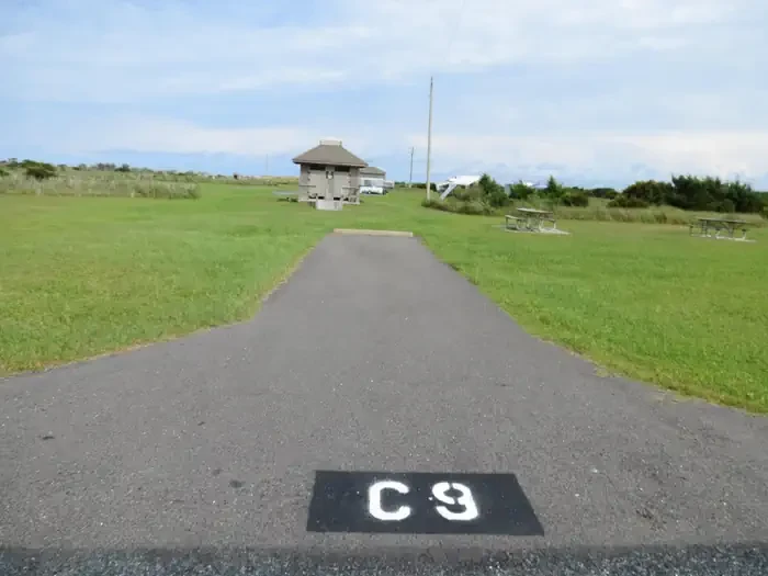 C009
