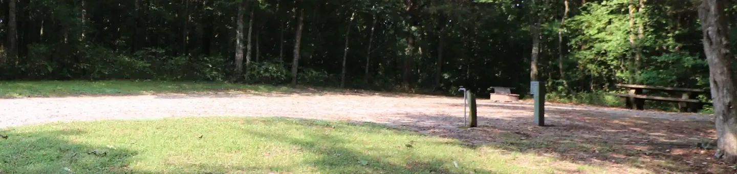 113