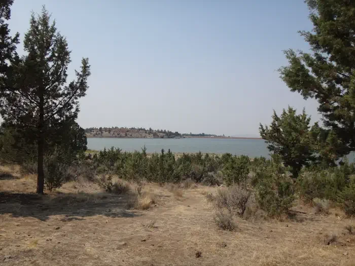 Juniper Group Campsite