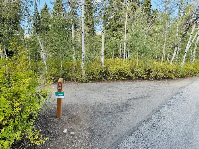 B30