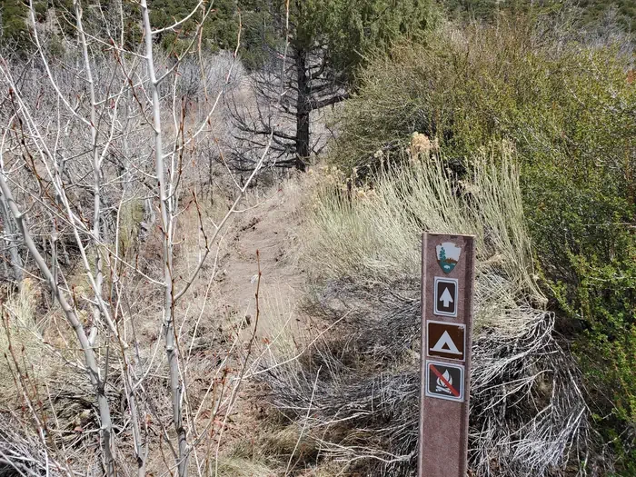 Great Sand Dunes National Park Backcountry Permits