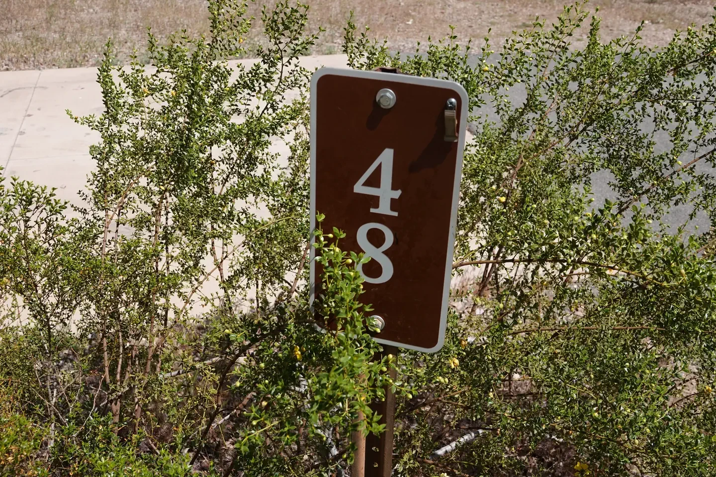 Site 48