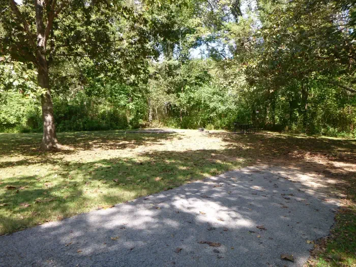 Site# 10