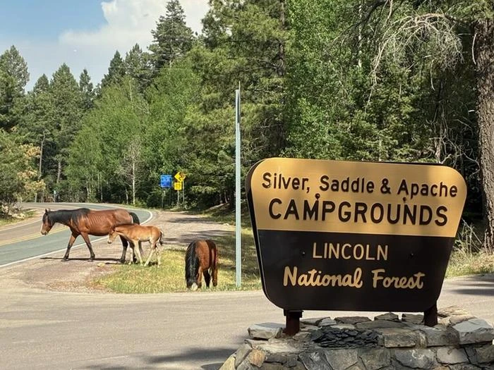 Apache (NM)