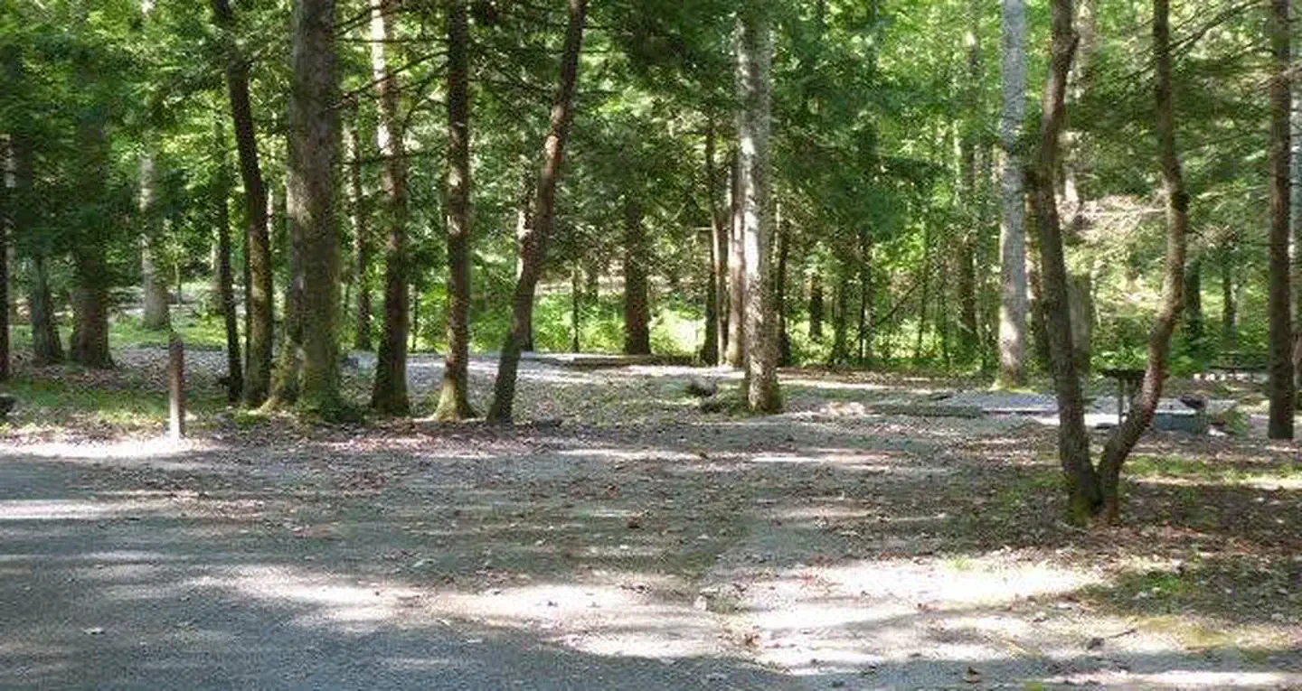 N06