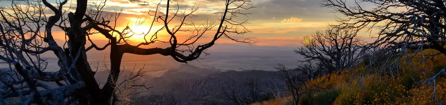 Chiricahua National Monument
