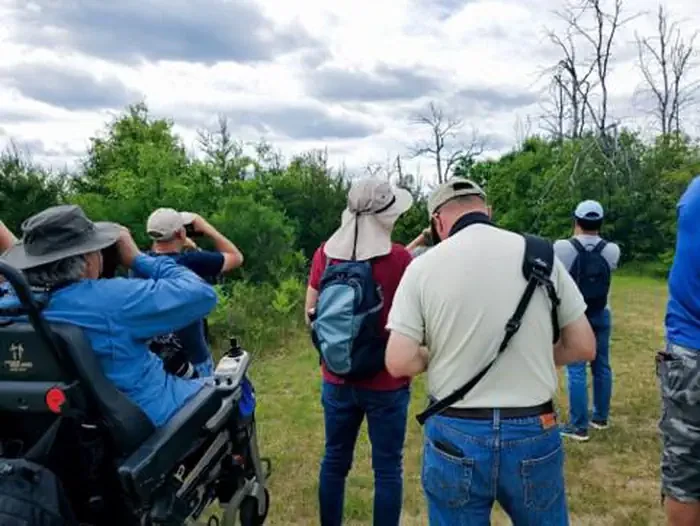 Kirtland's Warbler Guided Tour