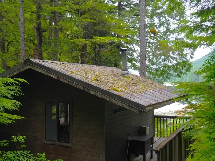 Frosty Bay Cabin