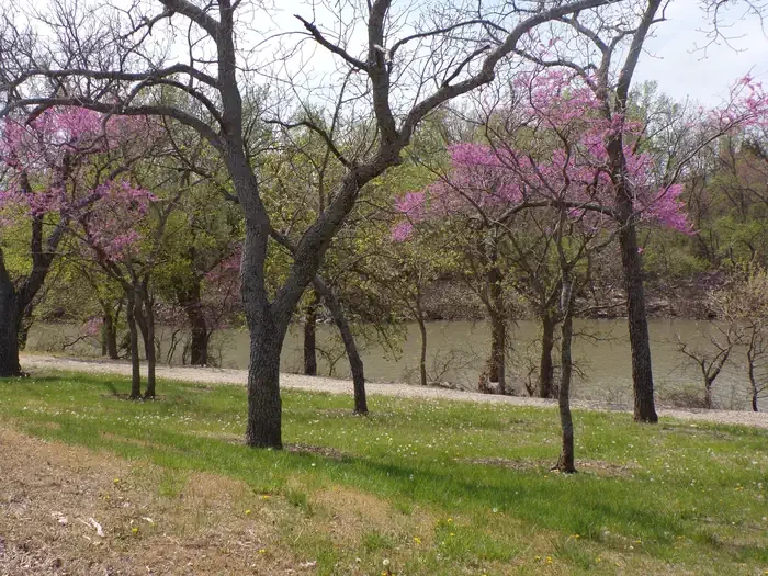 Neosho Park