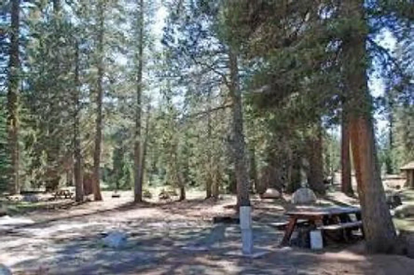 (lake Alpine) Silver Tip Campground