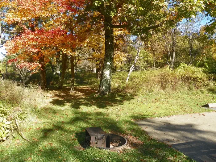 C138