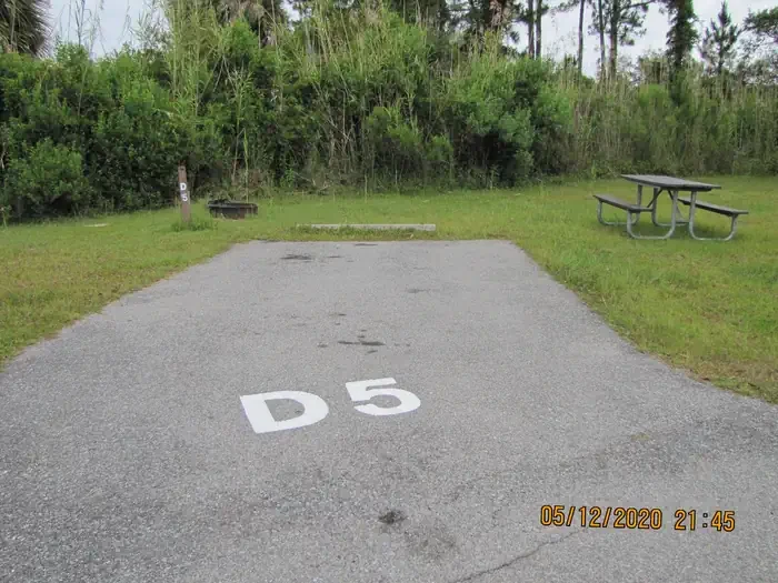 D005