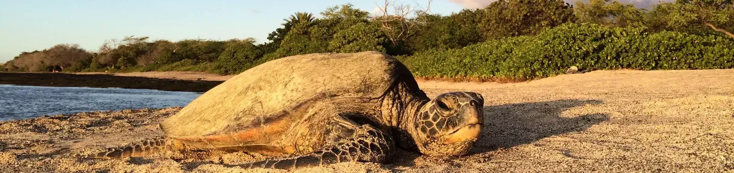 Kaloko-Honokōhau National Historical Park