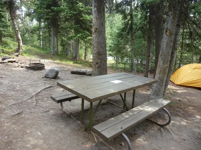 Lewis Lake site #5