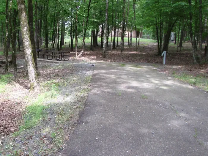 Site 11