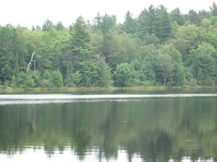 Lake Nineteen Campsite