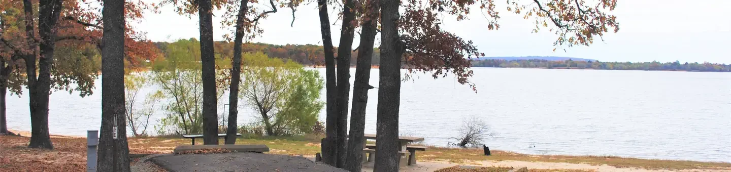 E11