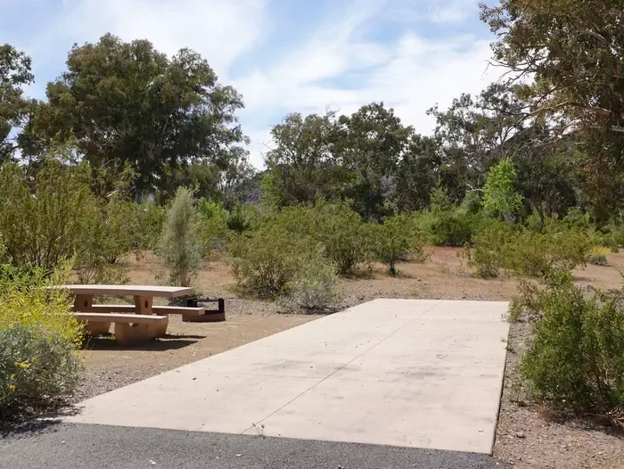 Site 49