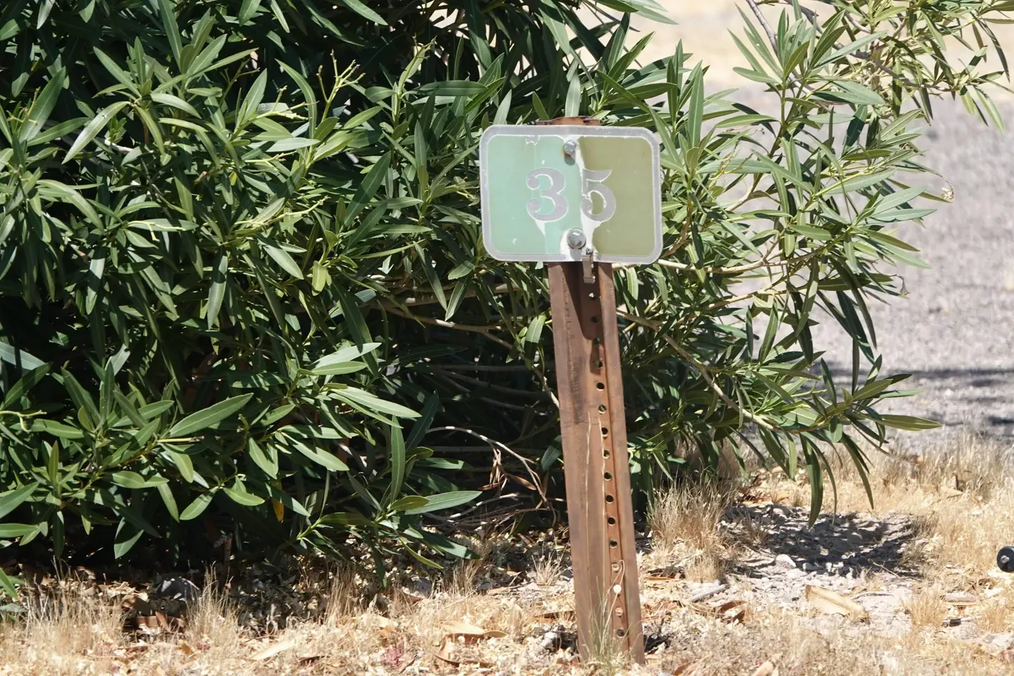 Site 35