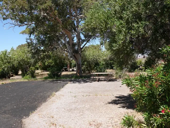 Site 27