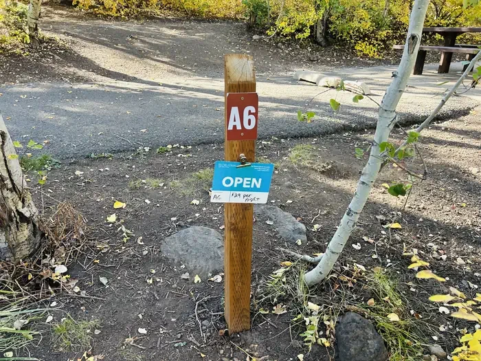 A06