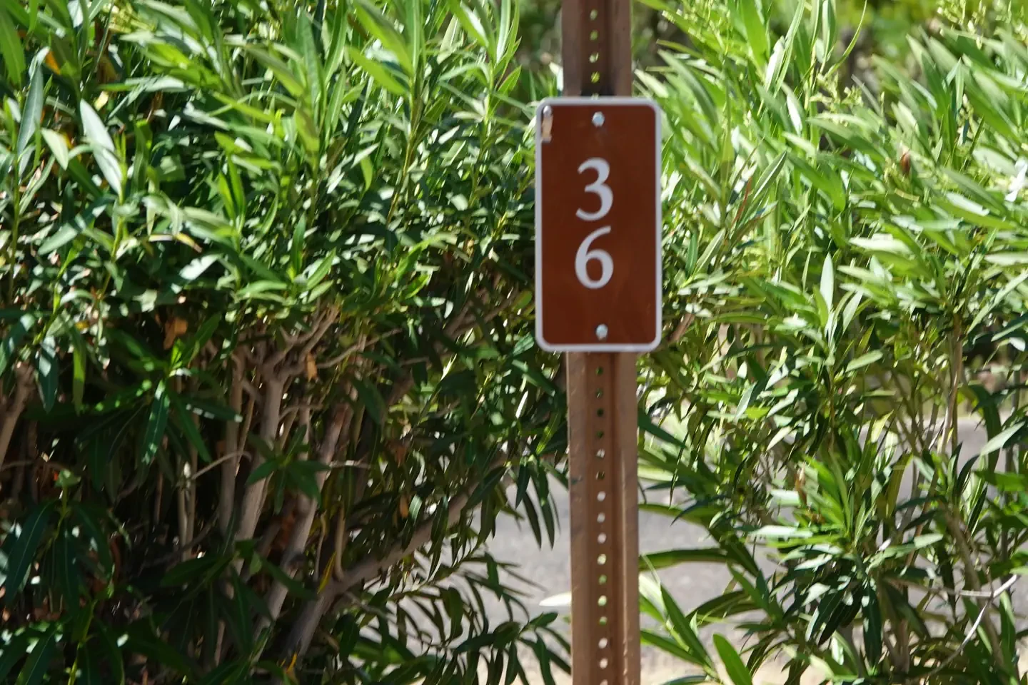 Site 36