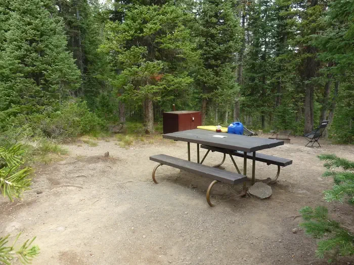 Lewis Lake site #73